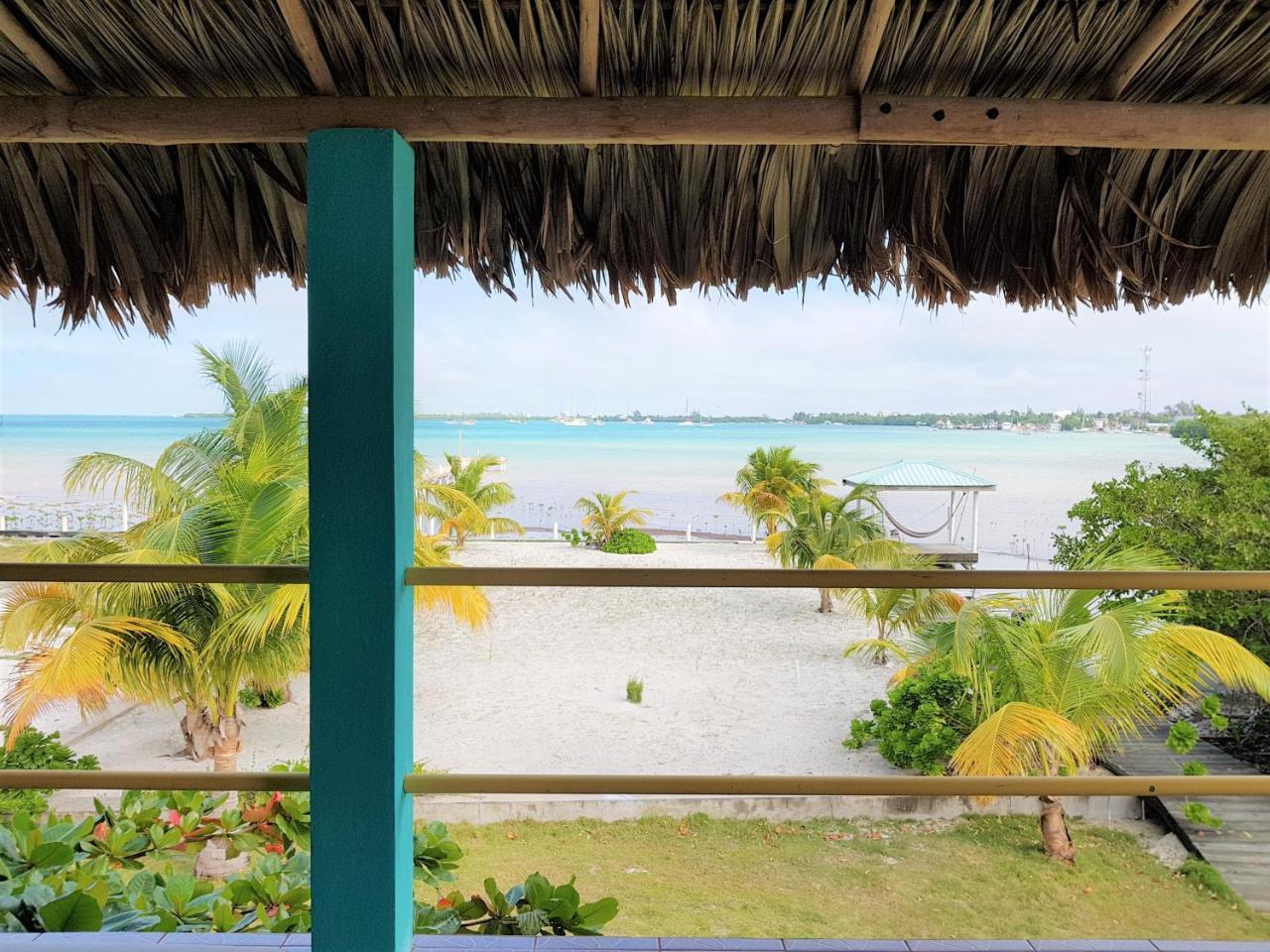 Slo-N-Ez Villa Terrace Caye Caulker Eksteriør billede